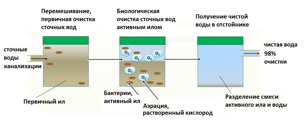 Первичная очистка воды. Схема установки биологической очистки сточных вод. Биологическая очистка сточных вод микроорганизмами. Схема полной биологической очистки сточных вод. Биологический метод очистки сточных вод.